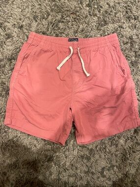 J. Crew Pink Drawstring Men's Shorts